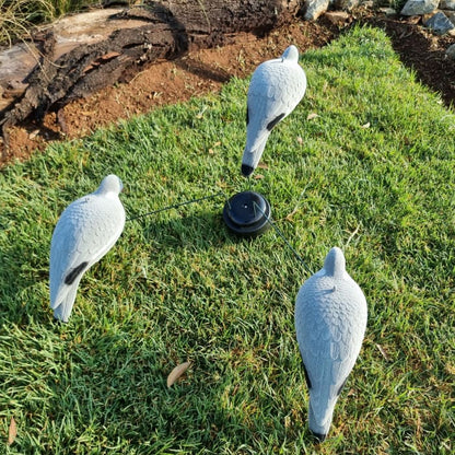 Pigeon Decoy - Three Rotating Pigeons (Requires Batteries)