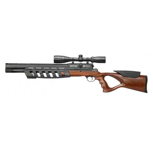 XISICO SENTRY PCP AIR RIFLE.22 WITH 2 MAGAZINES
