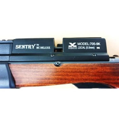 XISICO SENTRY PCP AIR RIFLE.22 WITH 2 MAGAZINES